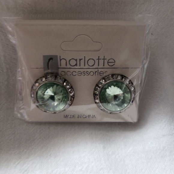Vintage 1980's Charlotte Accessories Pierced Earrings with posts - Picture 1 of 5